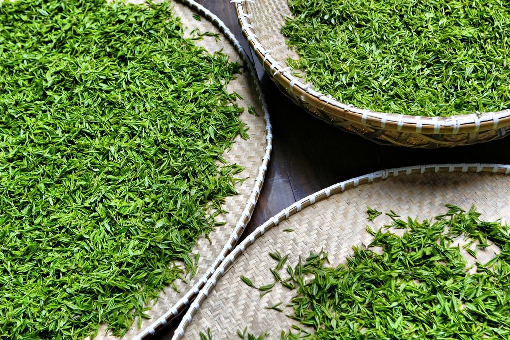 Landison Longjing Resort Hangcsou Kültér fotó