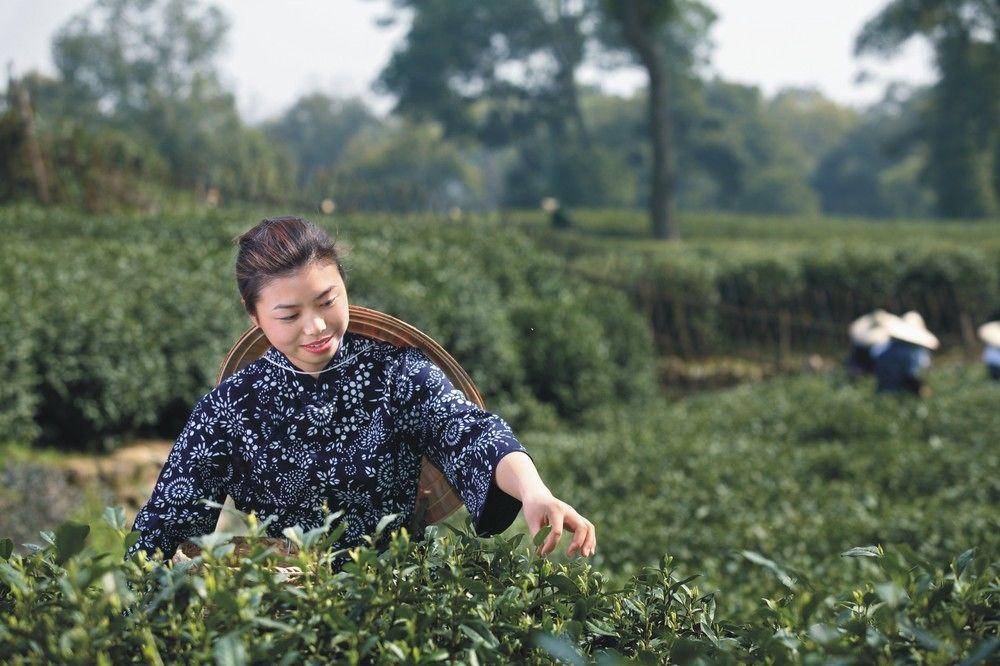 Landison Longjing Resort Hangcsou Kültér fotó